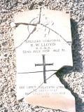 image of grave number 333056